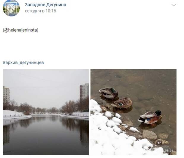Фото дня: Дегунинский пруд год назад