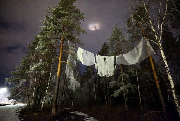 Iltalehti пишет о странном веществе на деревьях в Хельсинки после увиденного НЛО