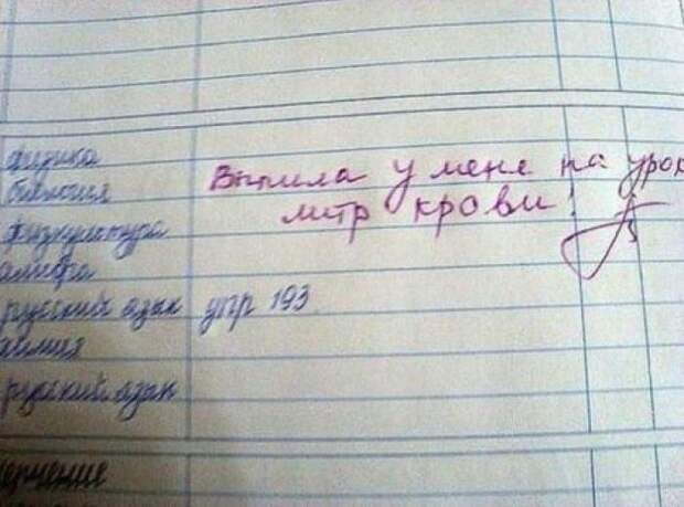 Забавные надписи и объявления