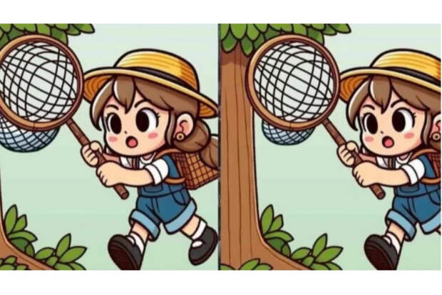 Три отличия за 24 секунды: проверьте свою внимательность