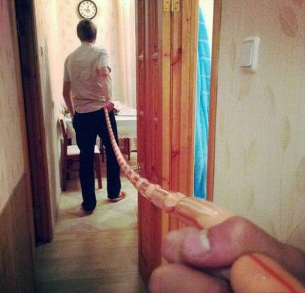 17. Следуй за сосисочками followme, Следуй за мной, фото