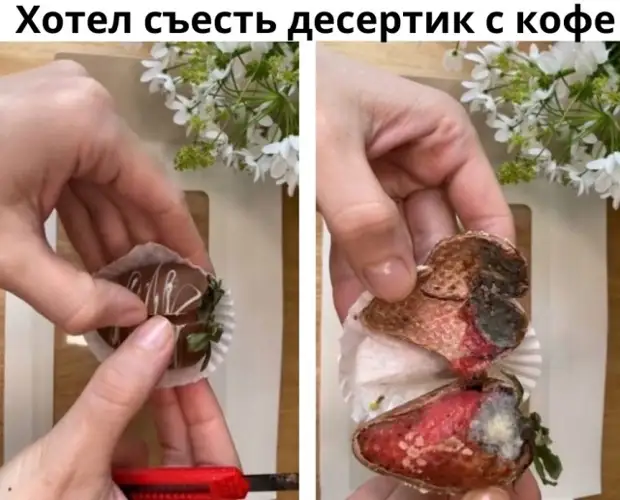 Отборный юмор - подборка смешных мемов с надписями