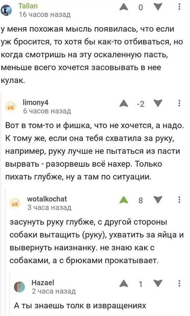 Смешные комментарии из социальных сетей Смешные комментарии из социальных сетей