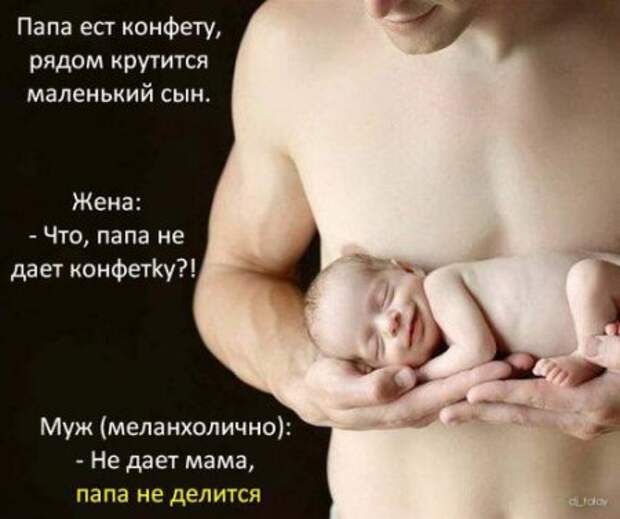 Афоризмы и прикольные анекдоты в картинках.