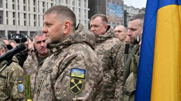 Залужный нашел виновных в провале контрнаступа
