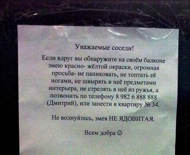 Забавные надписи в подъездах. Злые и добрые