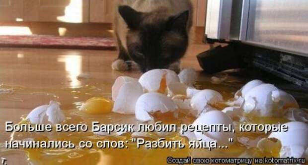 Новая котоматрица (37 шт)