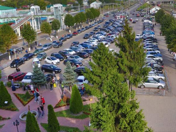 В МЖД прокомментировала ситуацию с уничтожением деревьев на привокзальной площади