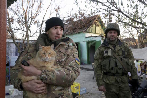 Братья меньшие по оружию армия, животные. война