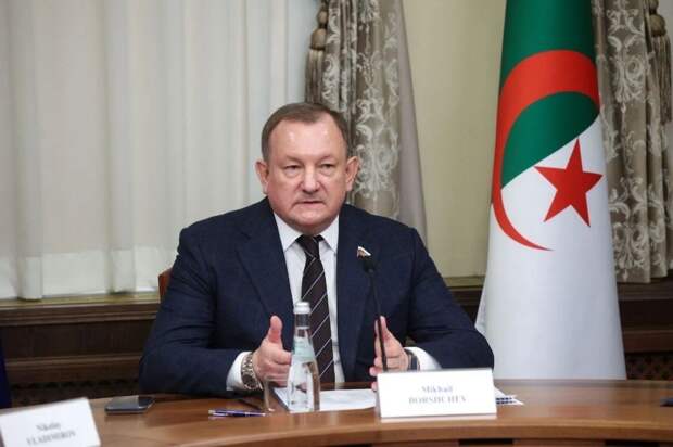 Сенатор Борщев обсудил с алжирскими коллегами развитие стратегического партнёрства 14 апреля