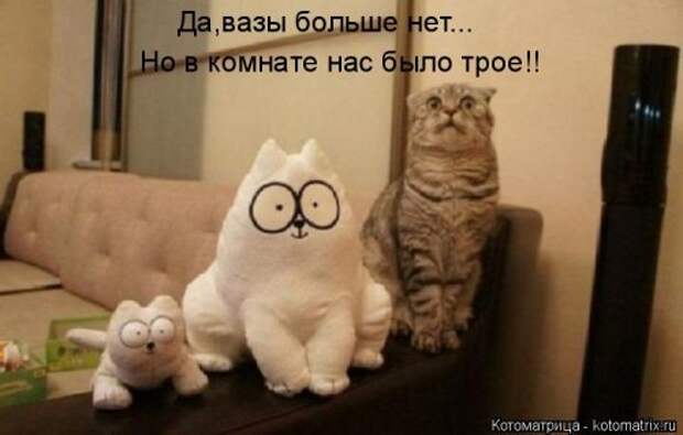 Свежая котоматрица для настроения (32 фото)