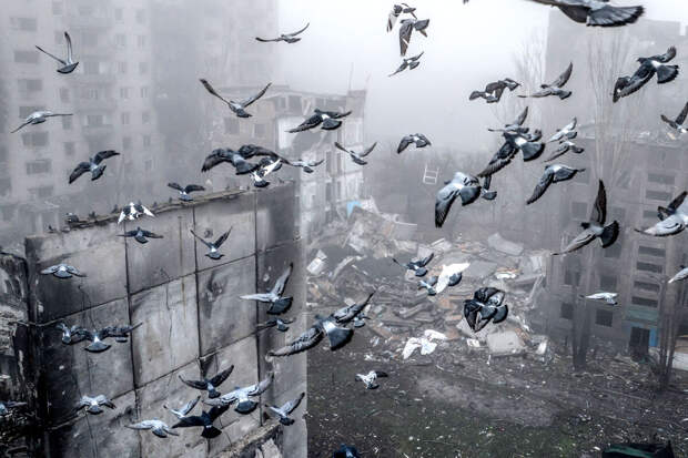 ФСБ: подразделение "Горыныч" уничтожило семь позиций ВСУ в Константиновке