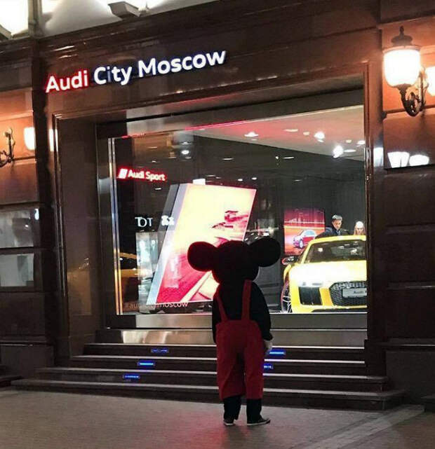 Мечтательный Чебурашка.