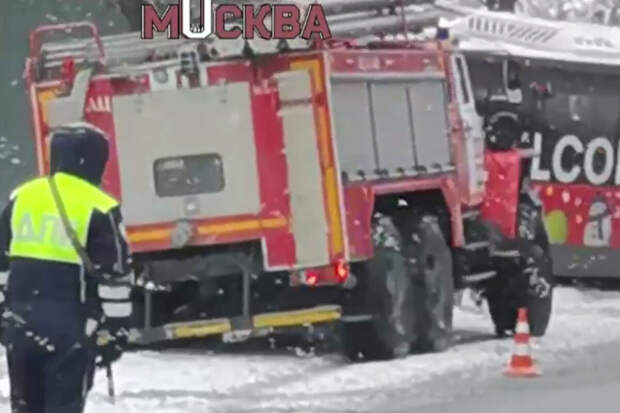 В Подмосковье автобус протаранил дерево, движение затруднено