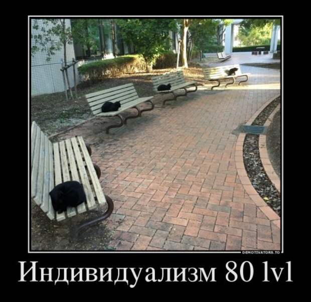 Новая порция прикольных демотиваторов (13 шт)