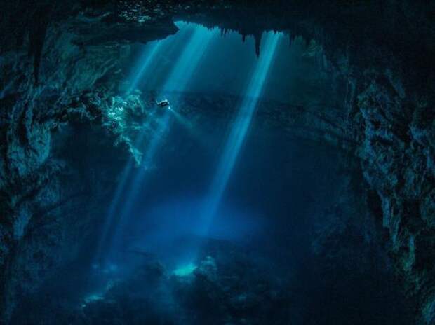Лучшие фотографии National Geographic за август 2013