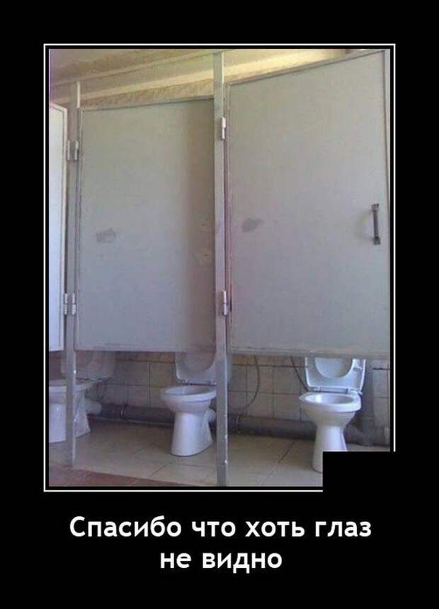 Демотиватор про туалет