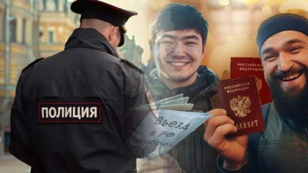 Коллаж NovorosInform
