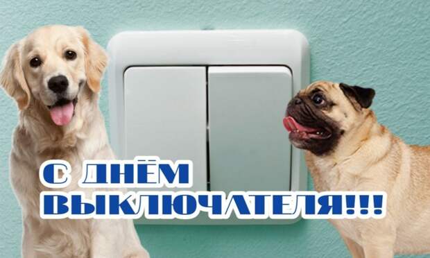 10 упоротых открыток с поздравлениями из WhatsApp