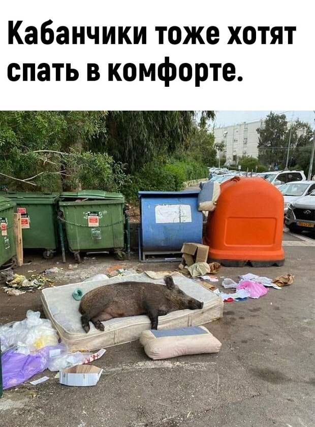 Юмор из интернета 648