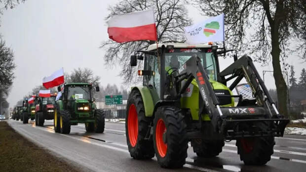 Зерновая сделка неинтересна: Польские фермеры протестуют против аграрной политики ЕС и преференций для Украины