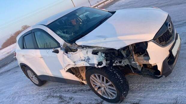 В Рубцовском районе водитель насмерть задавил девушку-пешехода