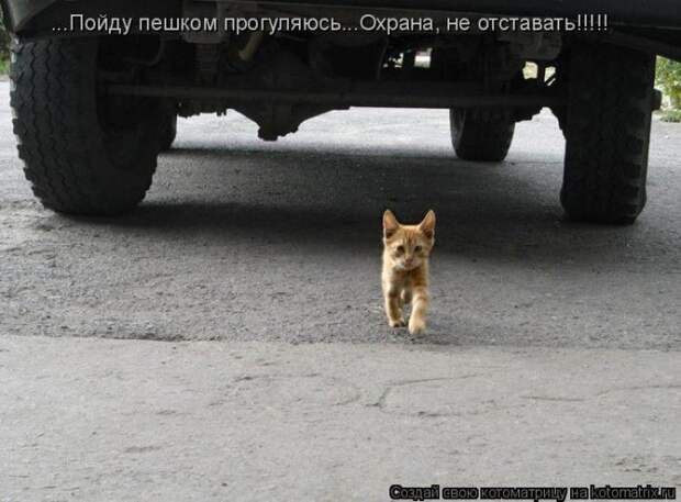 Мысли вслух :)