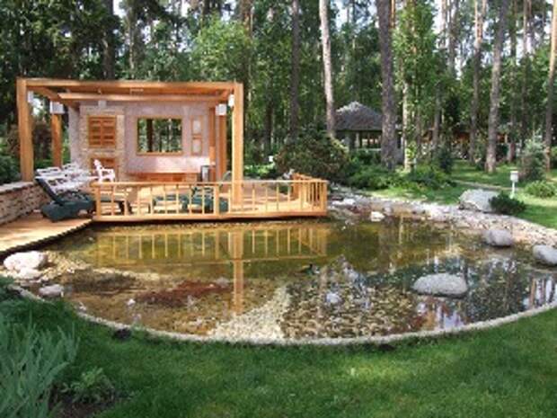 Водоем на даче или в саду. Водоем на даче или в саду.