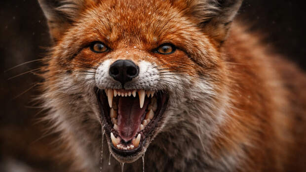 Изображение сгенерировано нейросетью DALL-E