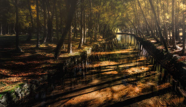 Golden Creek by Paulo Costa on 500px.com