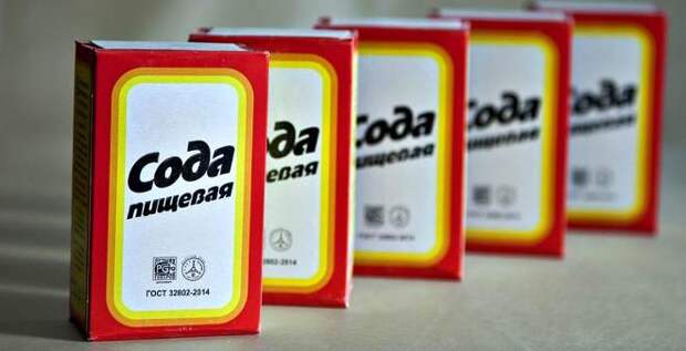 Как вывести плесень с одежды