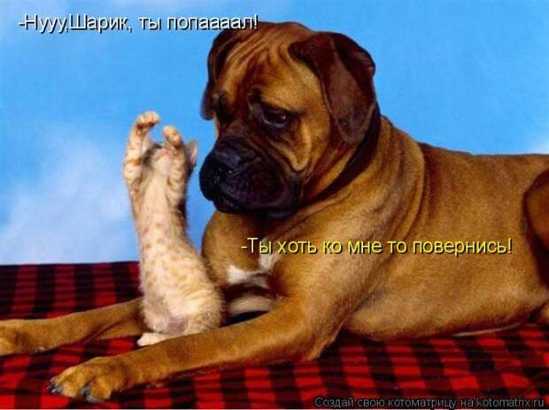 Мысли вслух :)