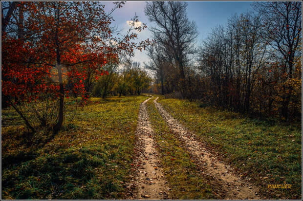 Дорога в осень