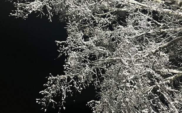 МЧС выпустило экстренное предупреждене для рязанцев из-за погоды