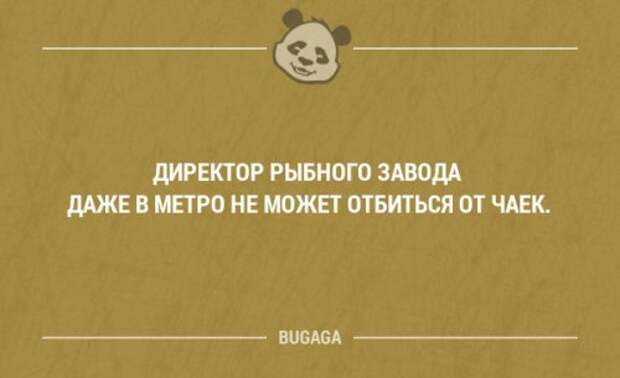 Прикольные фразы в картинках с надписями. Часть 78 (17 шт)