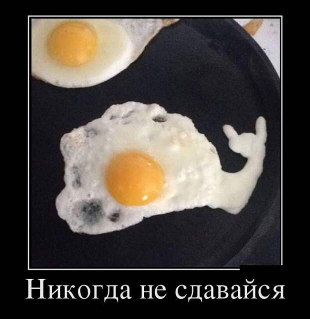 Веселые и забавные демотиваторы со смыслом (11 фото) Веселые и забавные демотиваторы со смыслом (11 фото)