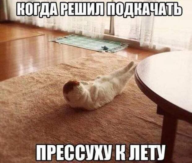 Супер веселые картинки и мемы