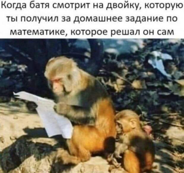 Прикольные фотомемы (19 шт)