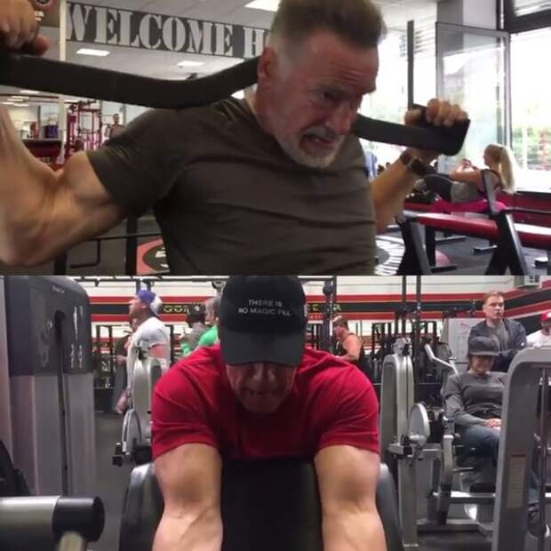 Скриншот видео из инстаграма Арнольда Шварценеггера instagram.com/schwarzenegger