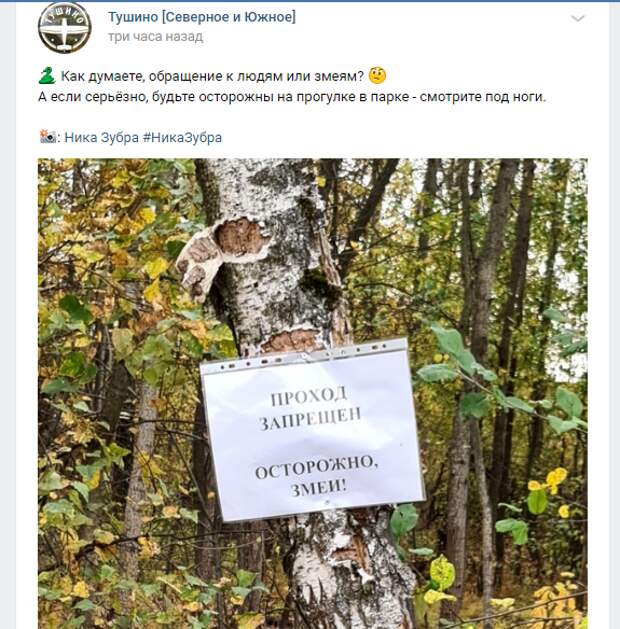 Фото дня: змеиная угроза в Тушине