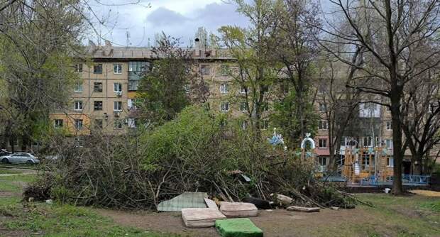на ул. Раздольной, 8 коммунальщики свежими ветками замаскировали мусорную кучу......