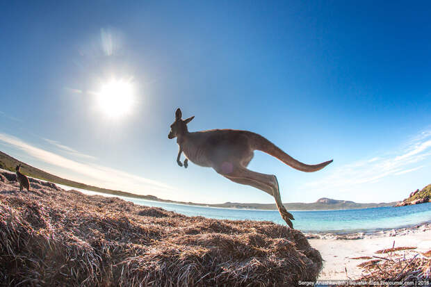 Lucky Bay