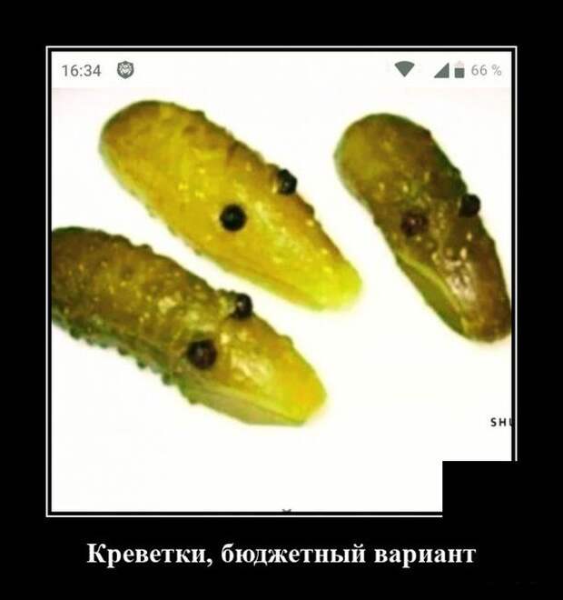 Демотиватор про креветок
