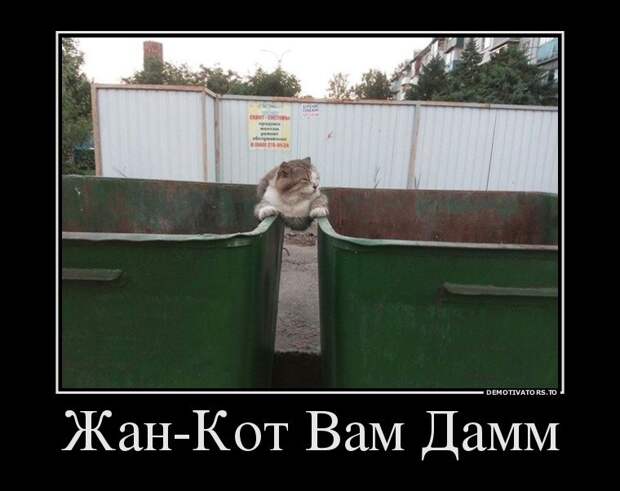 Свежие демотиваторы на Бугаге (17 шт)