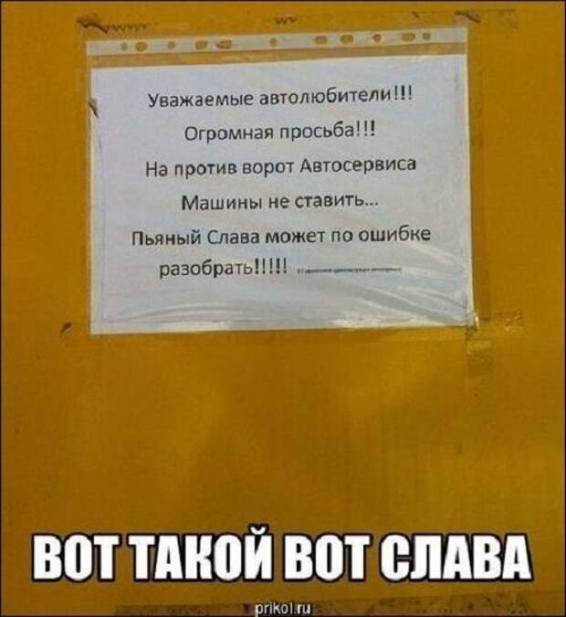 perly-kartinki-smeshnye-kartinki-fotoprikoly