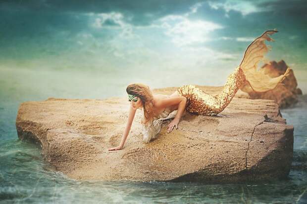 4883260_roim_2 (700x466, 77Kb)