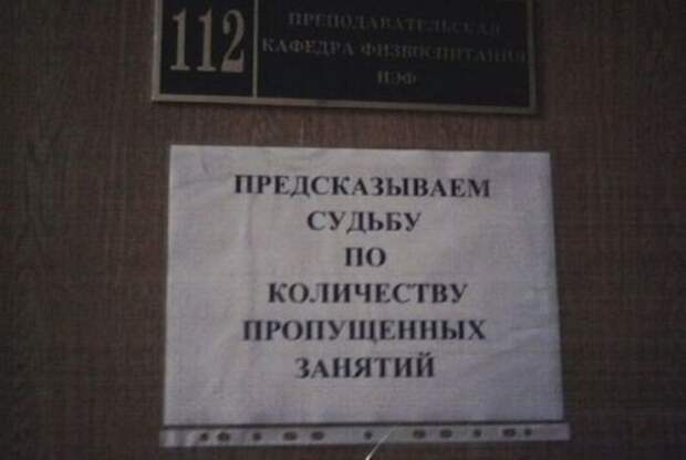 perly-kartinki-smeshnye-kartinki-fotoprikoly