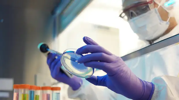 Бывший член комиссии ООН рассказал об американских биолабораториях на Украине