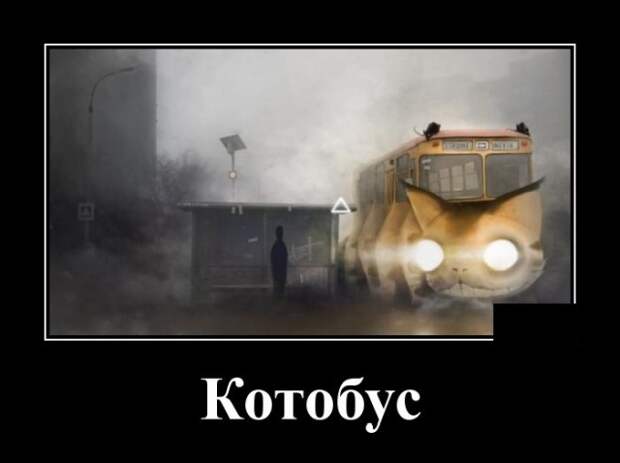 demotivatory-kartinki-smeshnye-kartinki-fotoprikoly