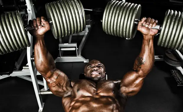Наращиваем мускулы быстро: тренировка с результатом за 7 дней